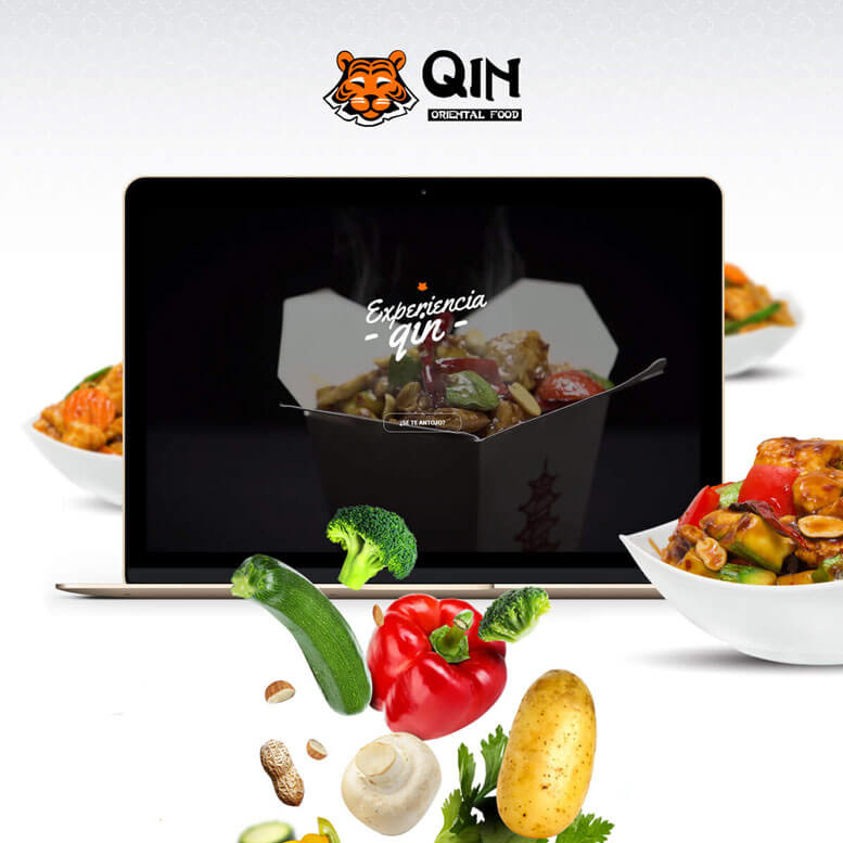 Qin Website